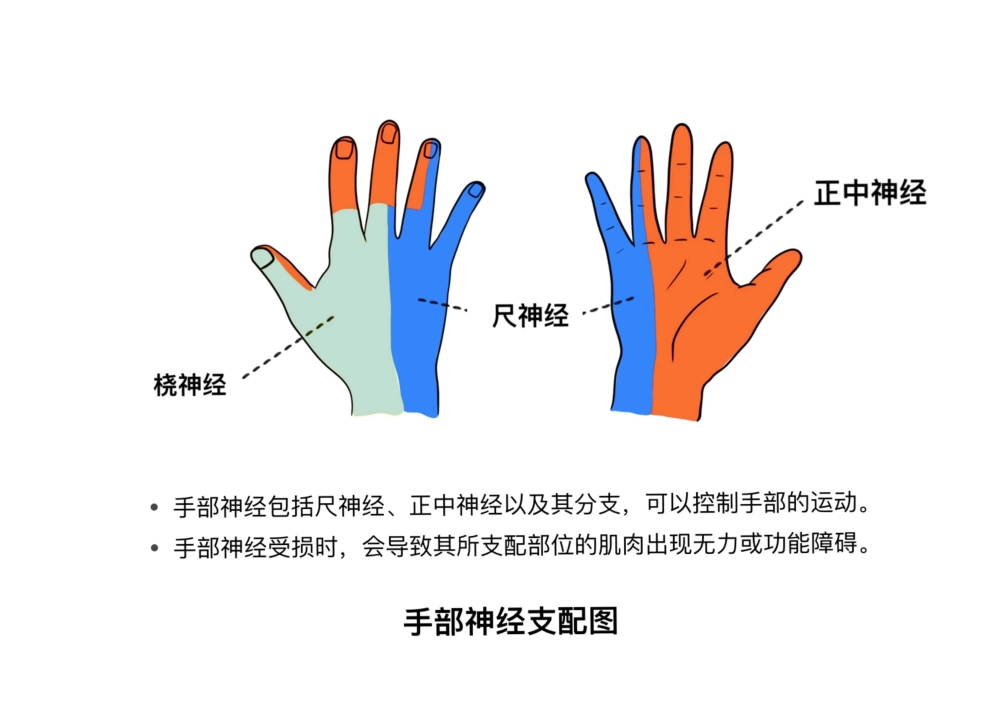 4914146a4192de3e85bd67a6e351456.jpg